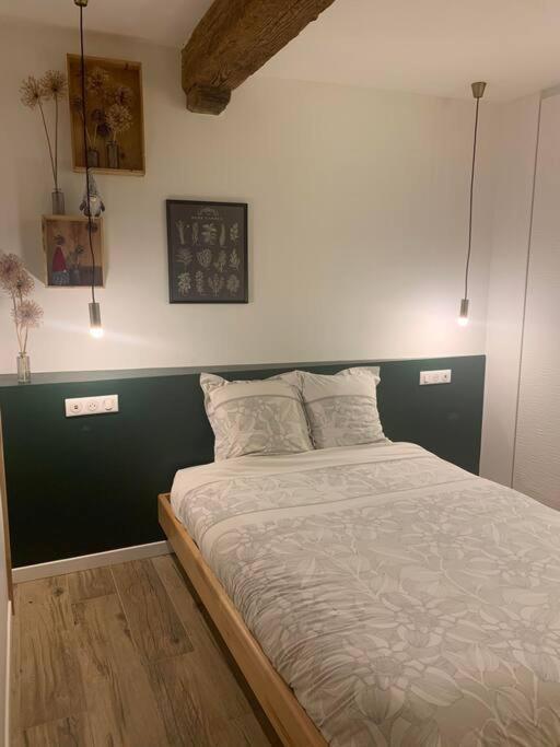 Studio Les Hirondelles - 2 Personnes A Ribeauville ภายนอก รูปภาพ