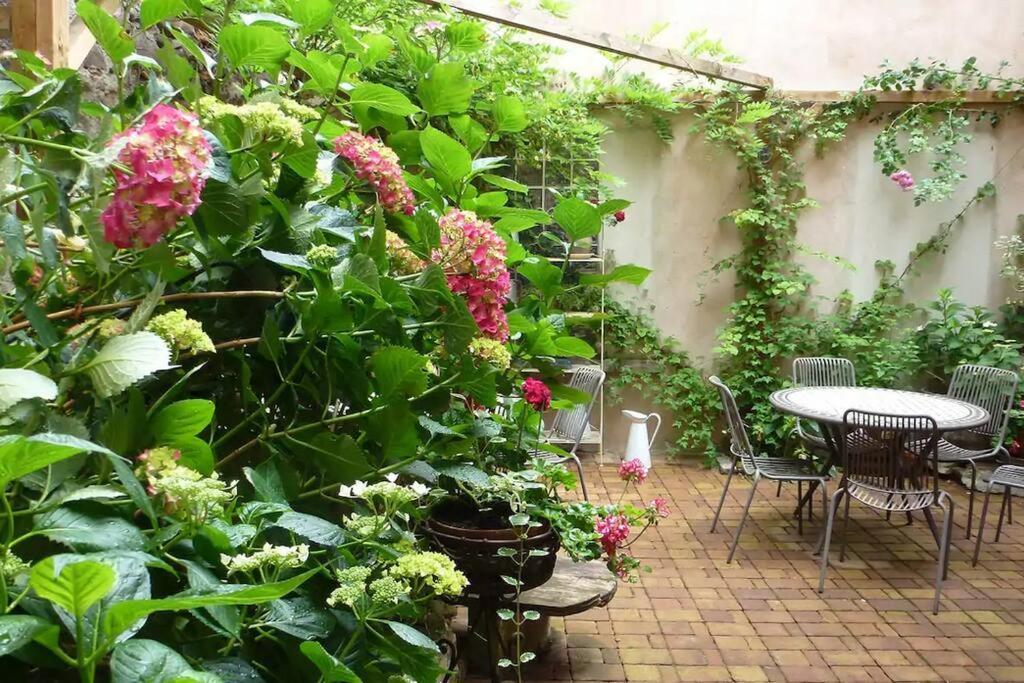 Studio Les Hirondelles - 2 Personnes A Ribeauville ภายนอก รูปภาพ